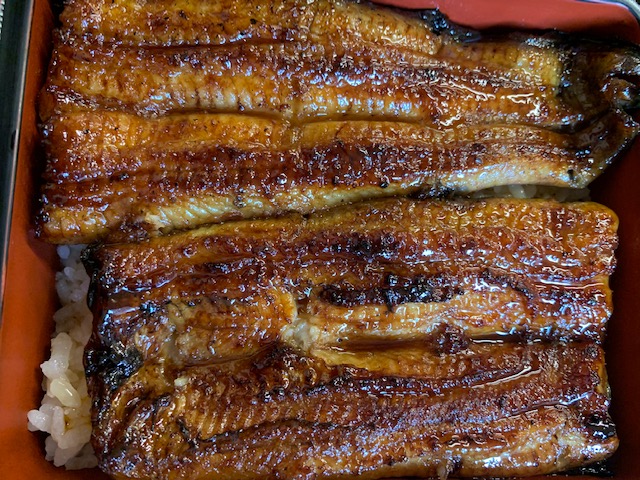 #fooduniversity #unagi #eel #kabayaki